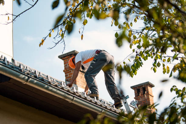 Best Roof Leak Repair  in Cape Charles, VA
