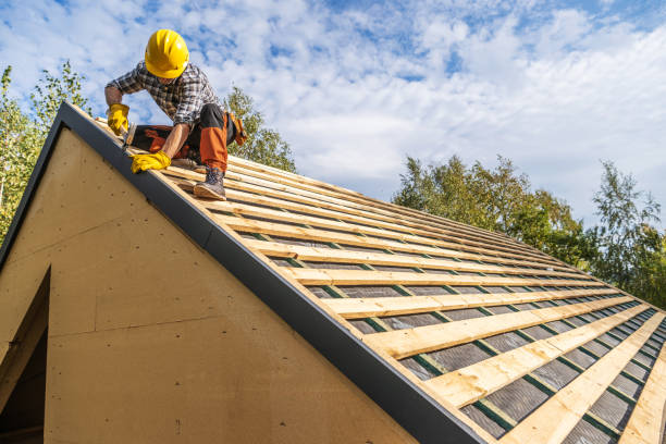 Best Storm Damage Roof Repair  in Cape Charles, VA