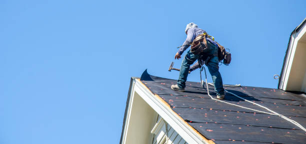 Best Roof Repair Specialists  in Cape Charles, VA
